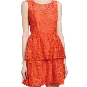 NWT Max & Cleo lace fit & flare Open-Back dress